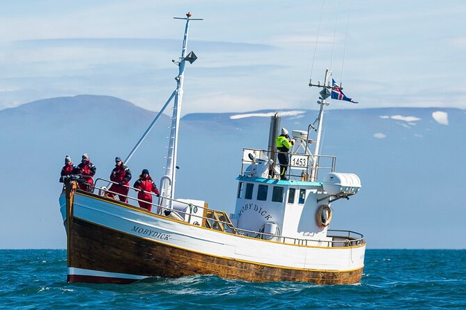 Húsavík Whale Watching Tour, family owned and operated - Key highlights to know before you go