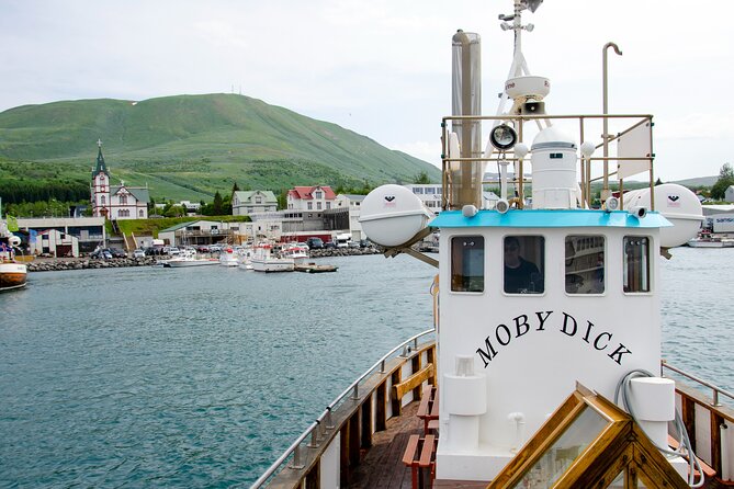 Húsavík Whale Watching Tour, family owned and operated - Why Húsavík is such a strong whale-watching bet