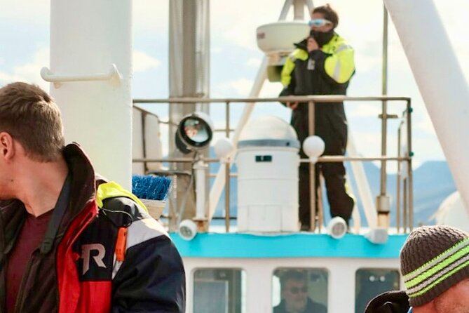 Húsavík Whale Watching Tour, family owned and operated - Where this tour shines (and who should book it)