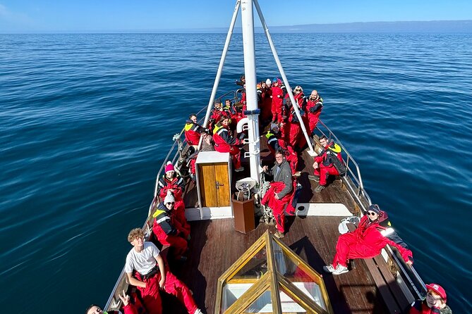 Húsavík Whale Watching Tour, family owned and operated - Quick practical tips to make the most of your outing
