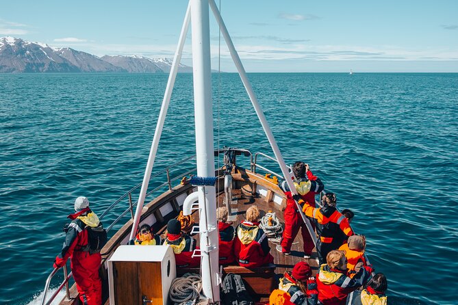 Húsavík Whale Watching Tour, family owned and operated - Your 3 hours on Moby Dick, step by step