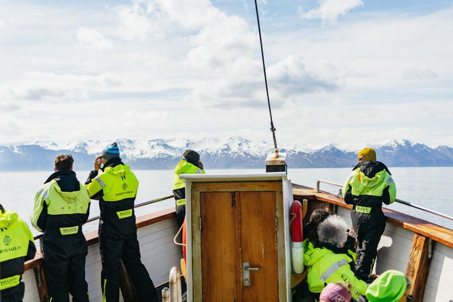 Húsavík: Whale Watching Tour with Guide - Who this tour is best for in real life