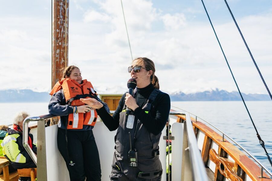 Húsavík: Whale Watching Tour with Guide - How the 3 hours on the water actually plays out