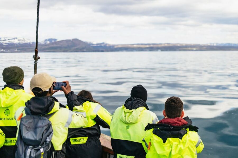 Húsavík: Whale Watching Tour with Guide - What wildlife you can realistically hope to see