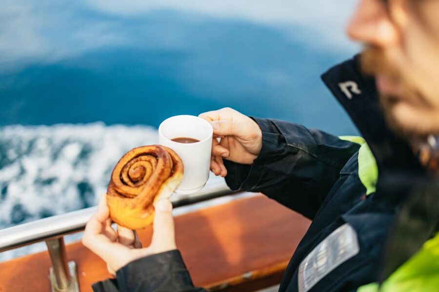 Húsavík: Whale Watching Tour with Guide - When weather turns choppy: stay ready for Iceland’s mood swings