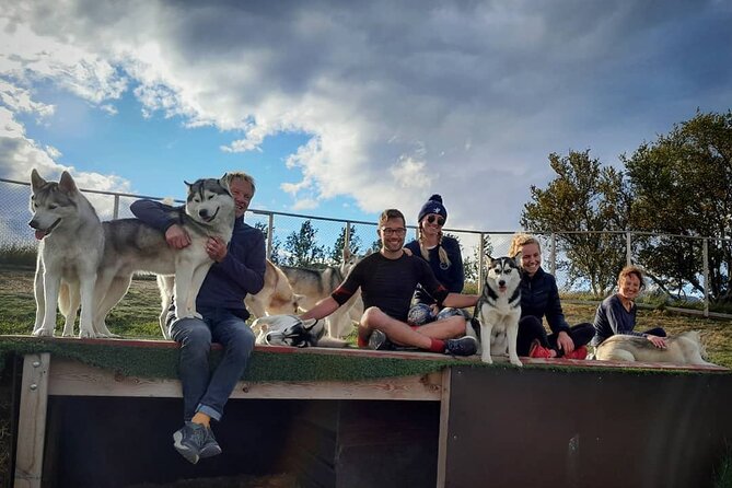 Husky Petting in Akureyri (private) - Meet the Hosts: Why Their Stories Matter