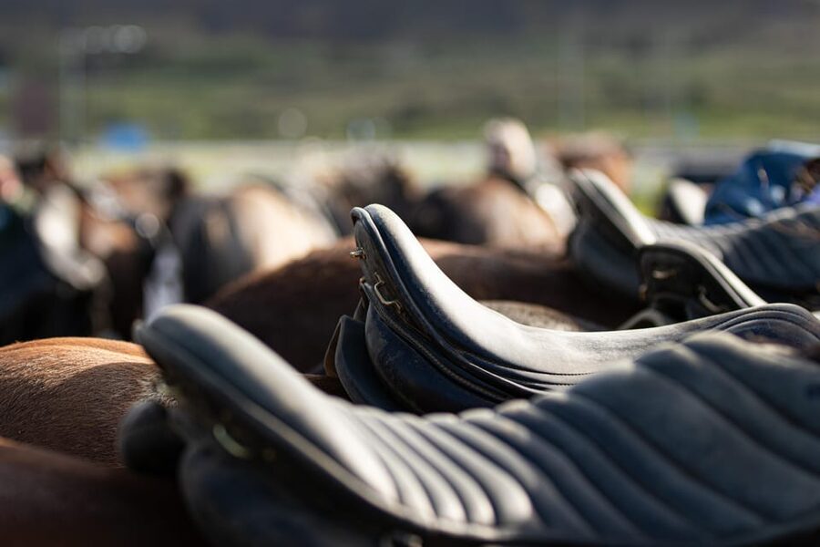 Hveragerdi: Countryside Charm Horse Riding Tour - Why the guide matters more than you think