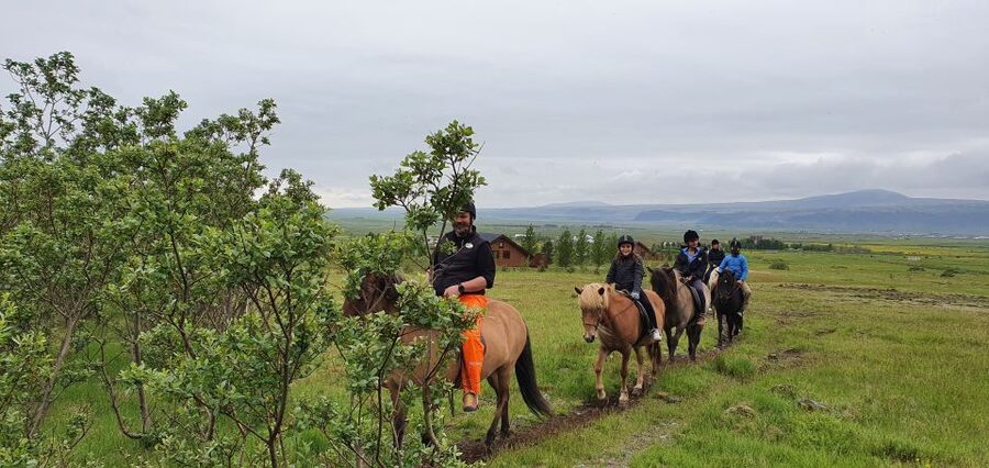Hveragerdi: Reykjadalur (Hotspring Valley) Horse Riding Tour - Key highlights that make this ride worth it