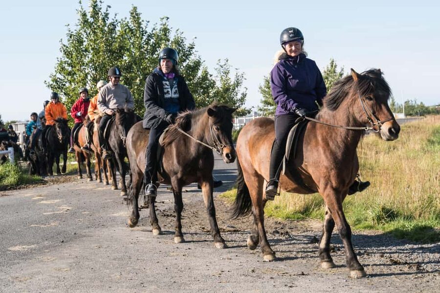 Hveragerdi: The Siggi Horse Riding Tour - Hveragerði Horse Riding: The Siggi Tour’s Real Appeal