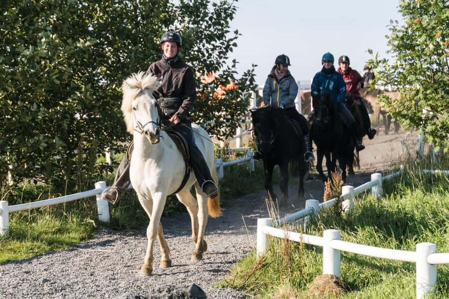 Hveragerdi: The Siggi Horse Riding Tour - What You Actually Ride Through: Meadows, Lava Fields, Volcanic Views, Farms