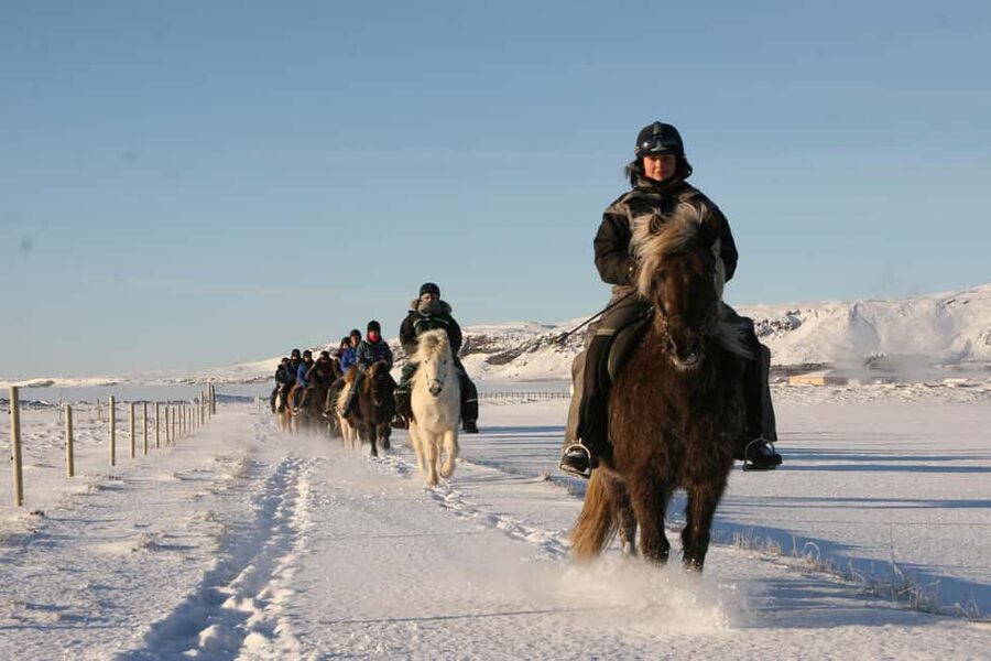 Hveragerdi: The Siggi Horse Riding Tour - Tölt 101: How This Tour Helps You Feel the Icelandic Gait