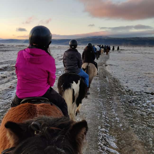 Hveragerdi: The Siggi Horse Riding Tour - The Itinerary, Step by Step: What Happens After You Meet the Horses