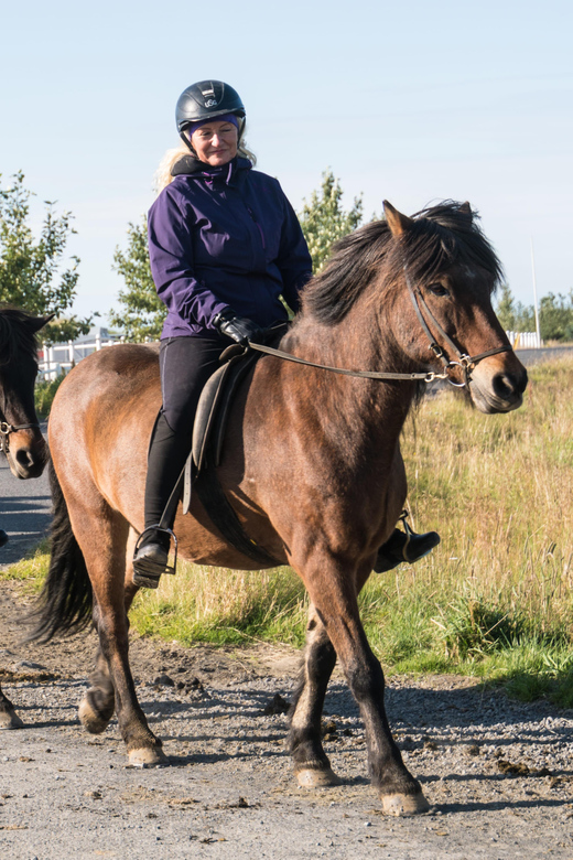 Hveragerdi: The Siggi Horse Riding Tour - Price and Value: $136 for 2 Hours That Actually Adds Up