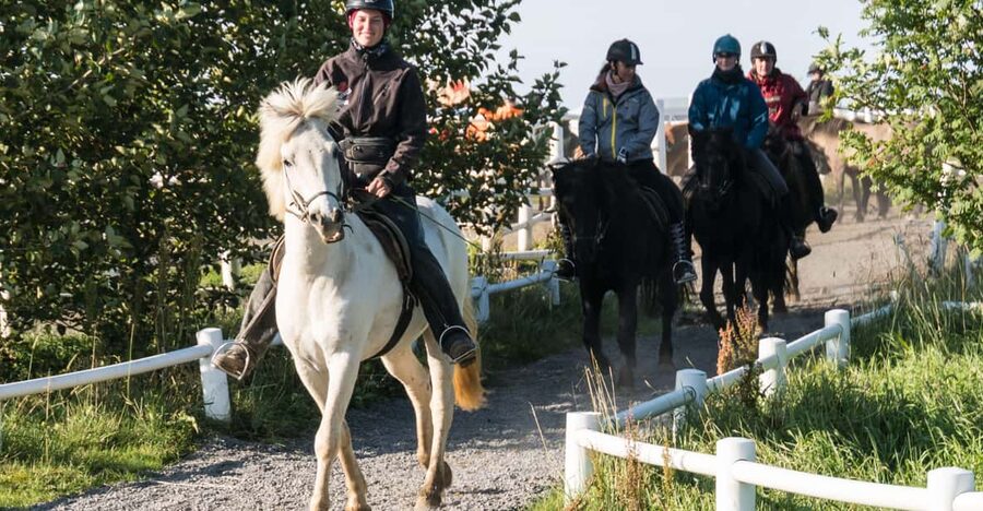 Hveragerdi: The Siggi Horse Riding Tour - What to Bring (and What to Skip) for a Comfortable Ride