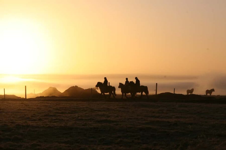Hveragerdi: The Siggi Horse Riding Tour - Getting There: Vellir Base, Reykjavík Transfer, and Timing That Works