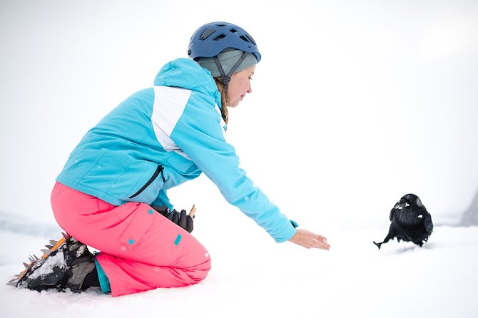 Ice Cave Captured - Professional Photos Included - Glacier Gear: Helmet, Harness, Crampons Included