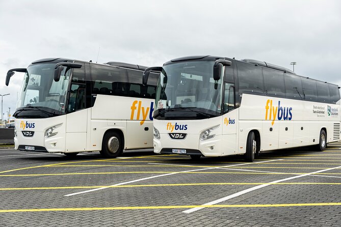 Iceland: Airport Transfers between Keflavik and Reykjavik Hotels - Key points to know before you ride