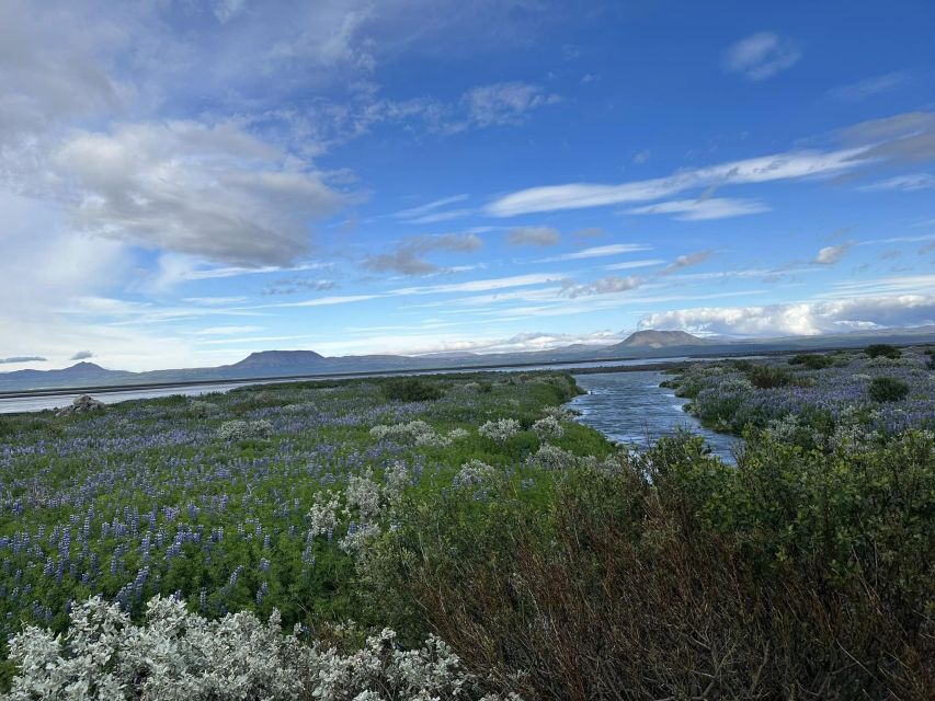 Iceland atv. atv guided trip close to dettifoss iceland - Price and value: what $371 buys you for 2 hours