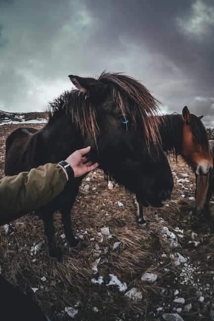 Iceland: Black‑Sand Beach Horseback Adventure - Meeting in Vík at Smiðjuvegur and Getting Ready for Sand and Wind
