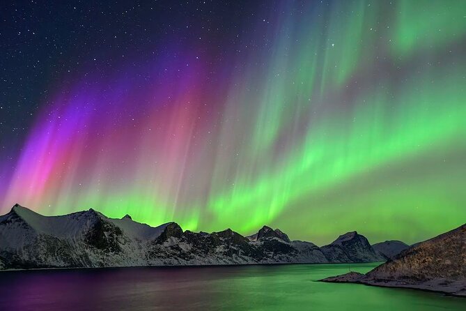 Iceland Northern Lights Tour Magical Winter Night Experience - What the one-hour viewing window actually does for you