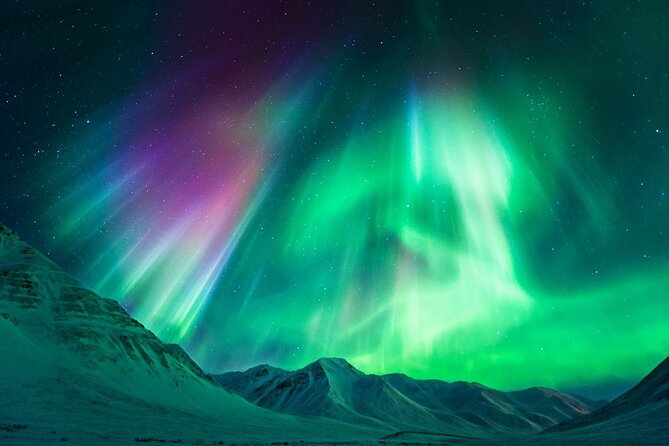Iceland Northern Lights Tour Magical Winter Night Experience - Price and value: $798.49 per group up to 4