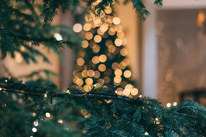 Iceland's Christmas Myths and Traditions - Reykjavík walking tour - The Guide Factor, From Funny Storytelling to Easy Pace
