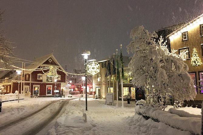 Iceland's Christmas Myths and Traditions - Reykjavík walking tour - Price and Value: What $42.72 Buys You