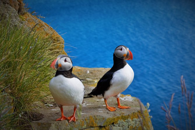 Iceland's Gunnuhver: Fire Land Private Tour by car - Stop 2: Sandvík Black Sand Beach and Its Cliff-Edged Mood
