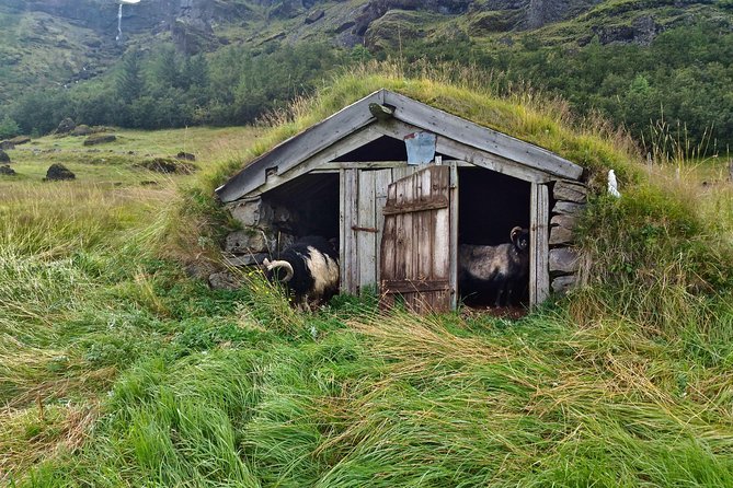 Iceland's south coast G spots - The Guide Makes the Day Feel Custom