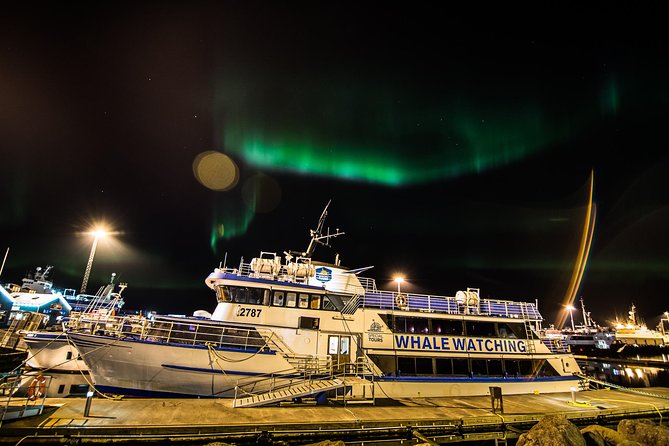 Iceland Super Saver: Northern Lights Cruise plus Whale-Watching Tour from Reykjavik - Value Check: Does This Price Add Up?