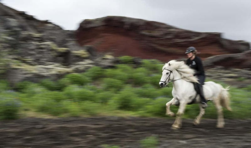 Iceland: Volcanic Landscape Horse Riding Tour - Quick Takeaways