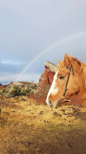Iceland: Volcanic Landscape Horse Riding Tour - Why Icelandic Horses Feel So Different on Volcanic Ground