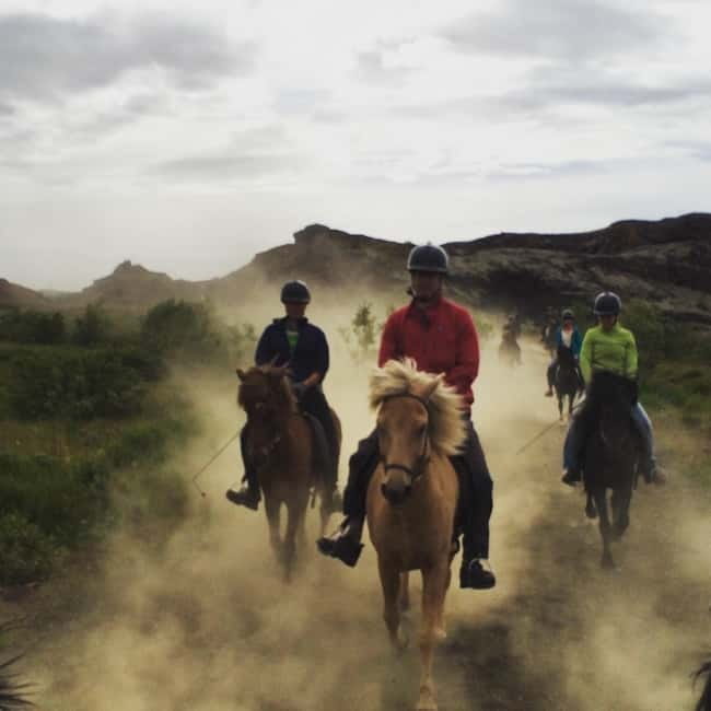 Iceland: Volcanic Landscape Horse Riding Tour - Small Group Touring (Max 8) and the Photo Moment