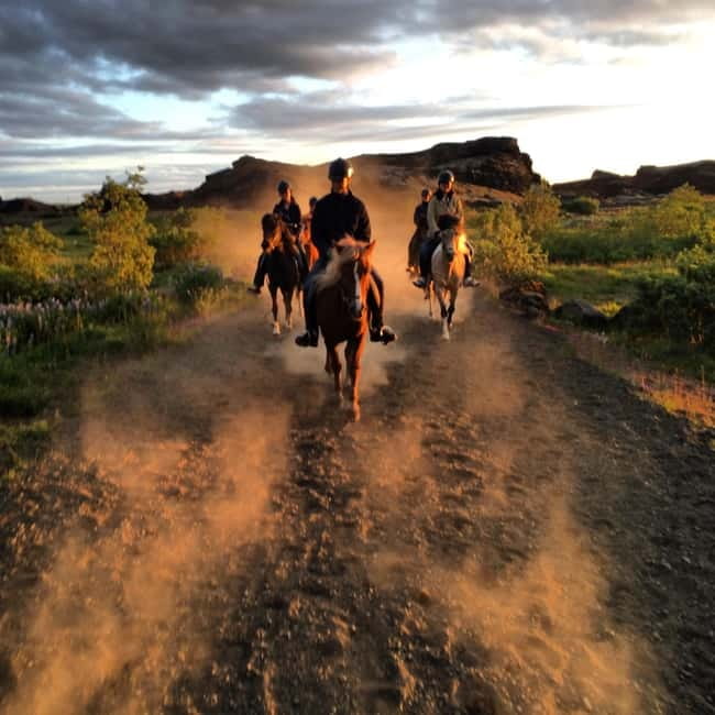 Iceland: Volcanic Landscape Horse Riding Tour - Who This Horse Riding Tour Fits Best