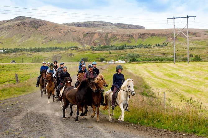 Icelandic Horse Riding and Whale Watching Cruise from Reykjavík - Enter Hótel Eldhestar, then head to Hveragerði’s lava fields