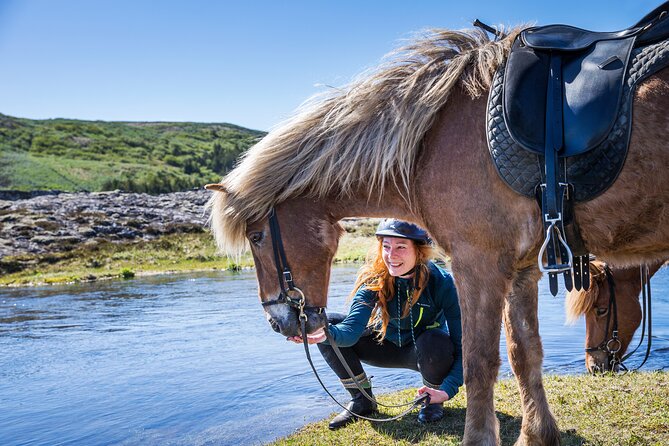 Icelandic Horse Riding and Whale Watching Tour from Reykjavik - Reykjavik’s pickup to the stables: a calmer start than the usual crowds