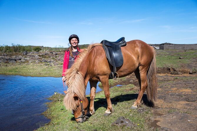 Icelandic Horse Riding and Whale Watching Tour from Reykjavik - Who should book the Icelandic horse and whale combo?