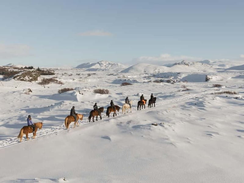 Icelandic Horse Riding Tour & Pickup Option from Reykjavik - Why Hafnarfjörður Makes This Ride So Easy