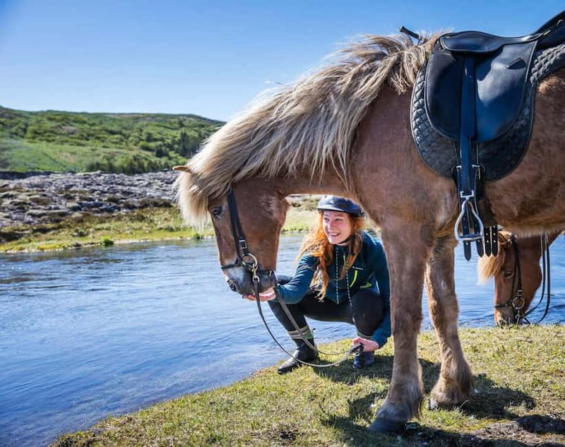 Icelandic Horse Riding Tour & Pickup Option from Reykjavik - Entering Íshestar Stables: Warm Gear and Horse Matching