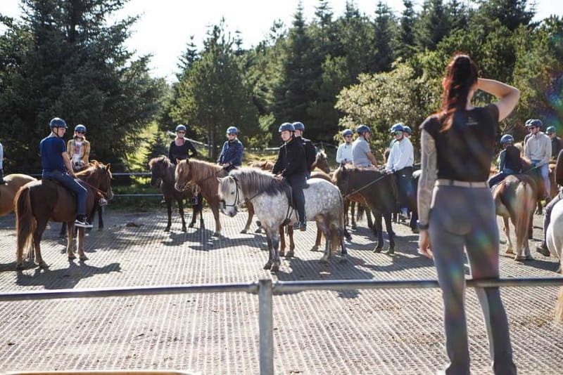 Icelandic Horse Riding Tour & Pickup Option from Reykjavik - Timing, Pickup, and the Reykjavík Drop-Off Pattern
