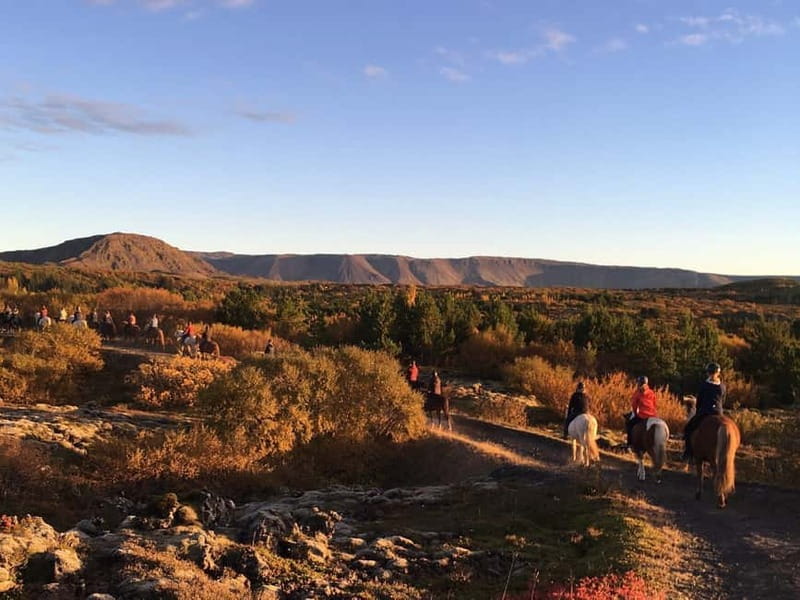 Icelandic Horse Riding Tour & Pickup Option from Reykjavik - Practical Tips So Your Ride Feels Great