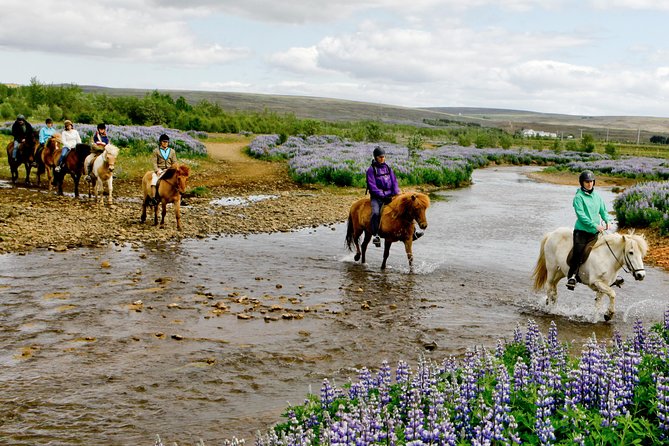 Icelandic Horseback Riding Tour Including Pick Up from Reykjavik - Reykjavík pickup that actually works (even with no-pickup zones)