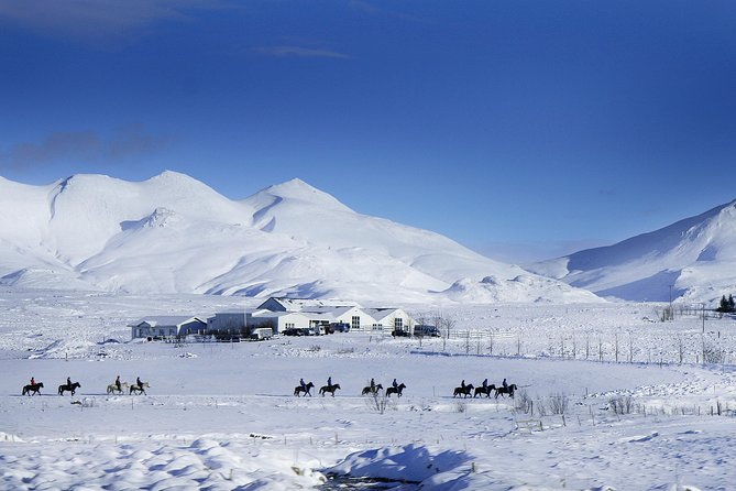 Icelandic Horseback Riding Tour Including Pick Up from Reykjavik - The farm stop: warming up with hot drinks and pastries