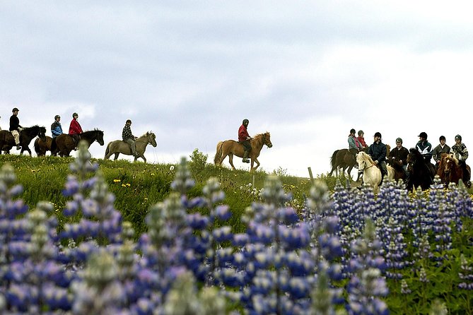 Icelandic Horseback Riding Tour Including Pick Up from Reykjavik - How long it feels, and what that means for your day plan