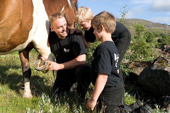 Icelandic Horseback Riding Tour Including Pick Up from Reykjavik - Pricing and value: why $152.37 can feel fair