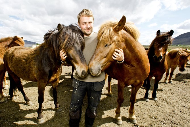 Icelandic Horseback Riding Tour Including Pick Up from Reykjavik - Gear fitting and horse matching: where first-timers feel safe