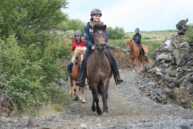 Icelandic Horseback Riding Tour with Pickup Option from Reykjavik - Key Things to Know Before You Saddle Up