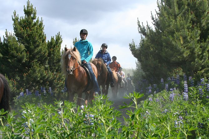 Icelandic Horseback Riding Tour with Pickup Option from Reykjavik - Timing, Duration, and What a 2-Hour Tour Feels Like