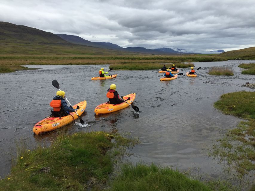 Icelandic Kayak Trip - Guides, Safety, and Paddling Level: What Feels “Beginner Friendly”