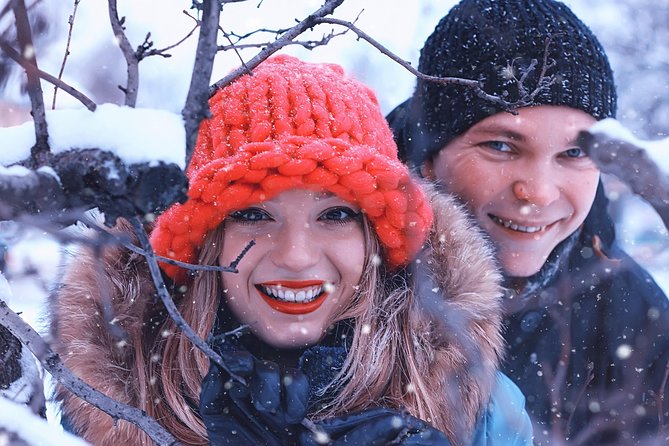 Icelandic Sagas and Glacier Cave Private Tour from Reykjavik - Price and value: is $1,177 per person worth it?